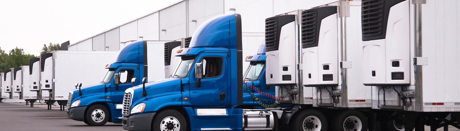 Side view of a row of freight trucks